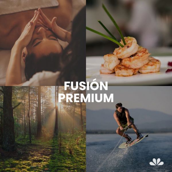 Fusion Premium