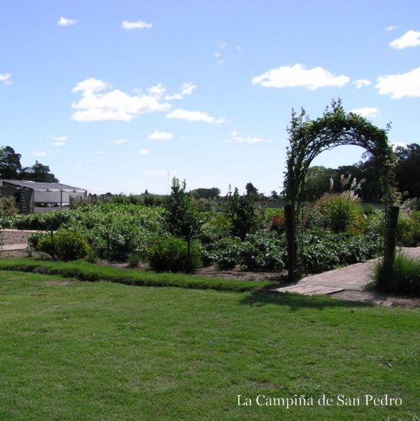 La Campiña de San Pedro