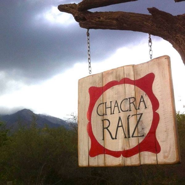 Chacra Raiz