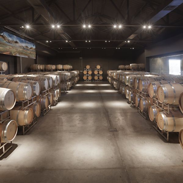 Bodega Atamisque
