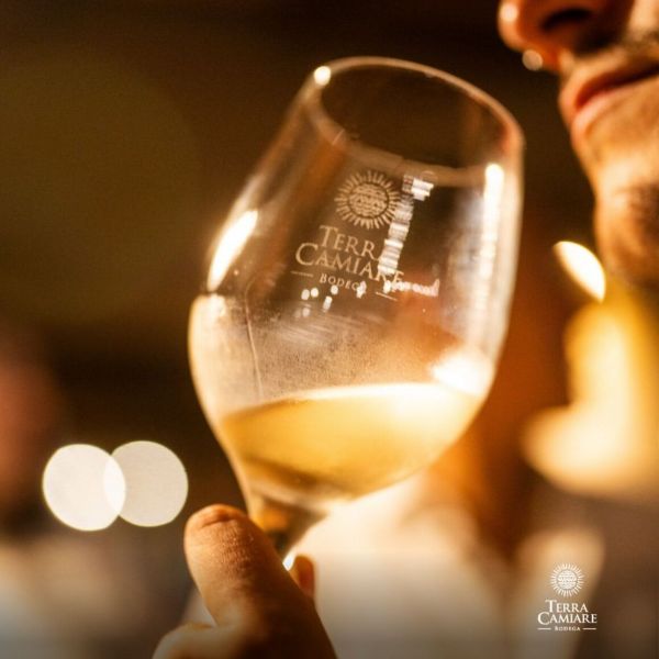 Bodega Terra Camiare