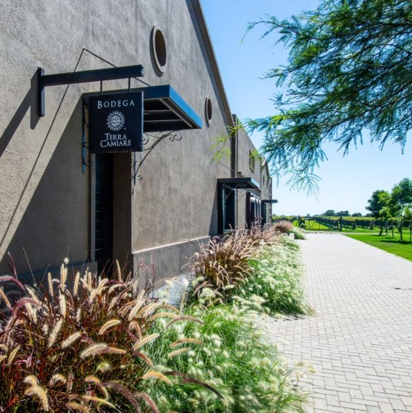 Bodega Terra Camiare