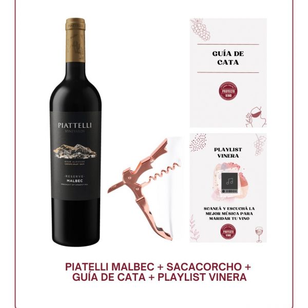 Proyecto Vino