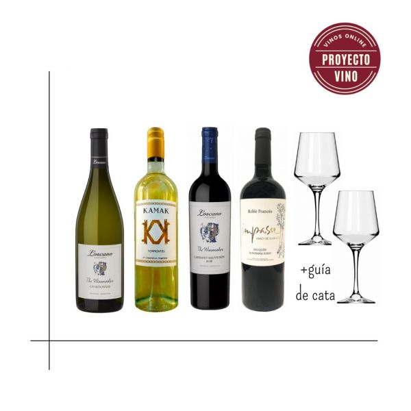 Proyecto Vino