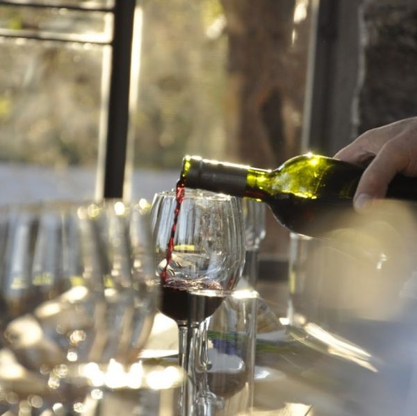 Cata Singular - Wine Tour Urbano