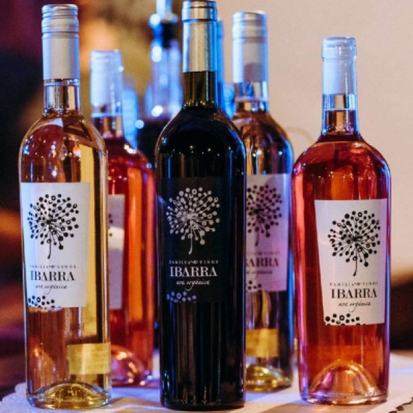 Bodega Ibarra