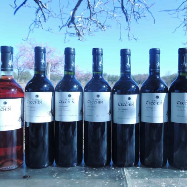 Organic Wine Argentina