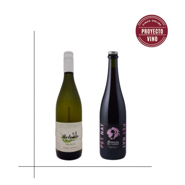 Proyecto Vino