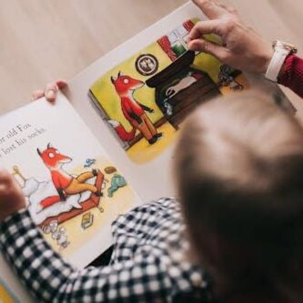 El mundo del libro