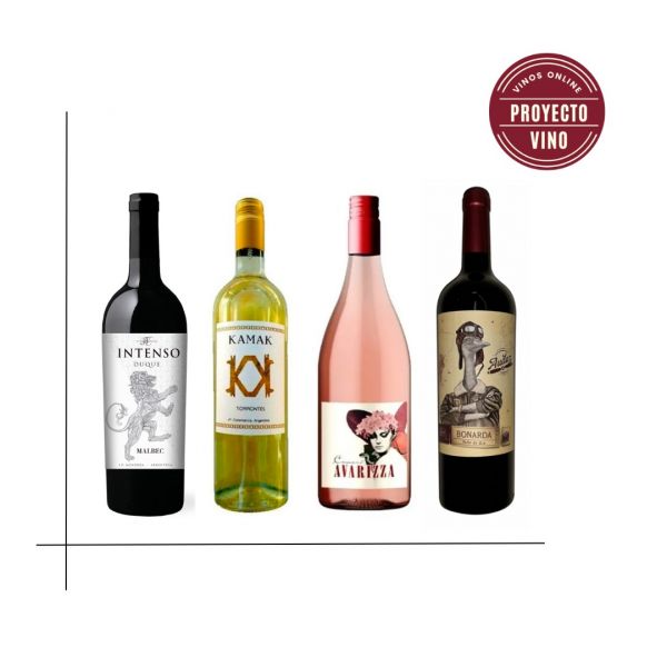 Proyecto Vino
